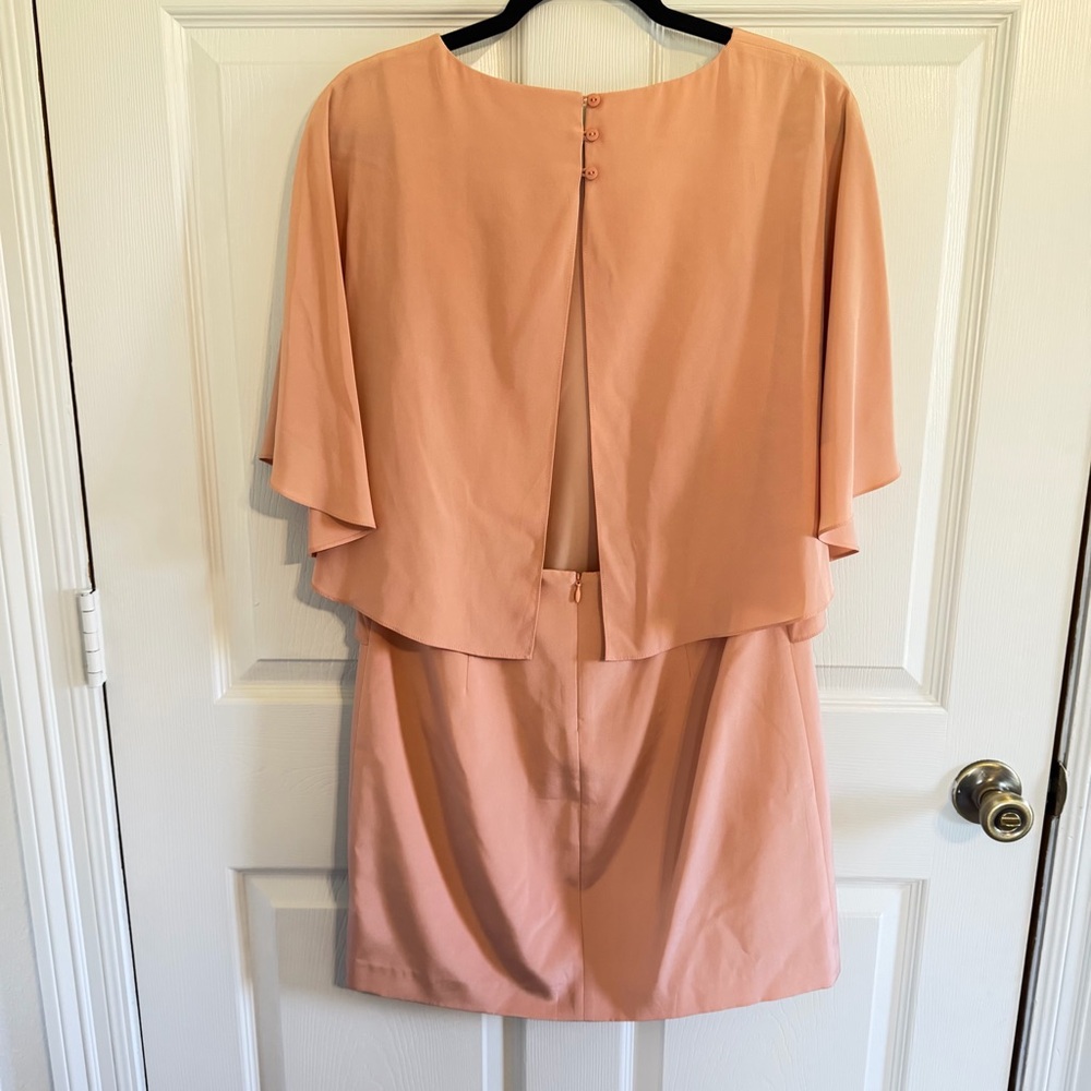 Tibi 100% Silk Blush Cape Dress Size 6 Minimalist Designer Shift Easter spring - Picture 6 of 11